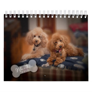 Calendário da caniche de brinquedo 2010