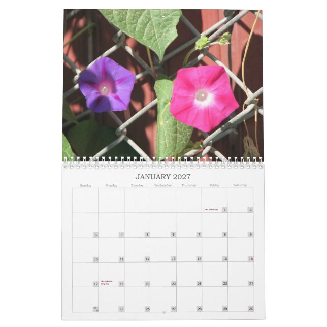 Calendário da coleção do jardim de Cindy (Jan 2027)