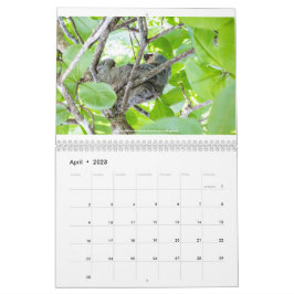 Calendário da Costa Rica