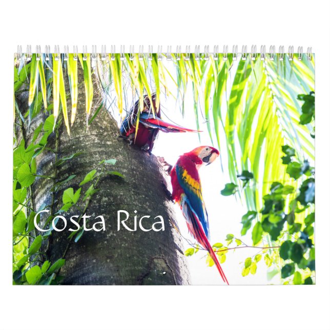 Calendário da Costa Rica (Capa)
