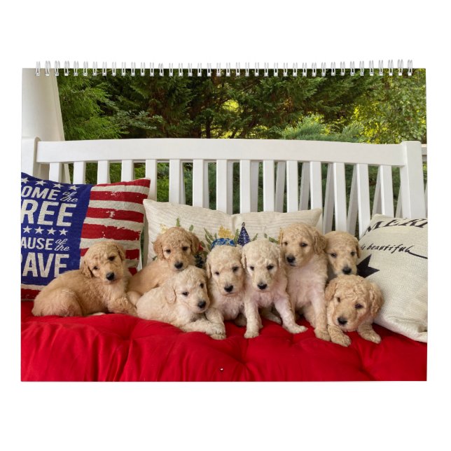 Calendário da Cupada de Goldendoodle (Verso)