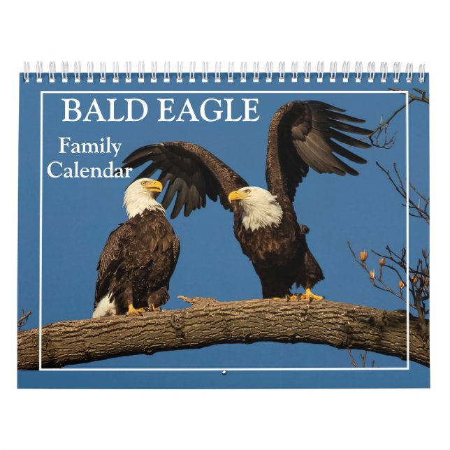 Calendário da Família Águia-Bálida (Capa)