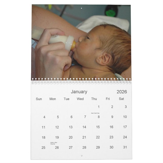 Calendário da família da ninhada - 2008 (Jan 2026)