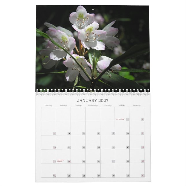 Calendário da flor (Jan 2027)