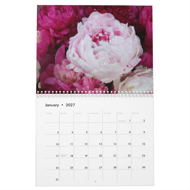 Calendário da flor das peônias 2013 (Jan 2027)