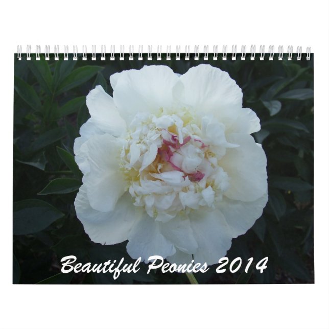 Calendário da flor das peônias 2014 (Capa)