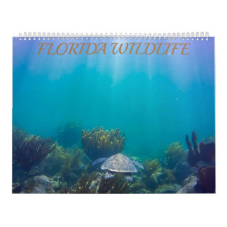 Calendário da Florida Wildlife 2020
