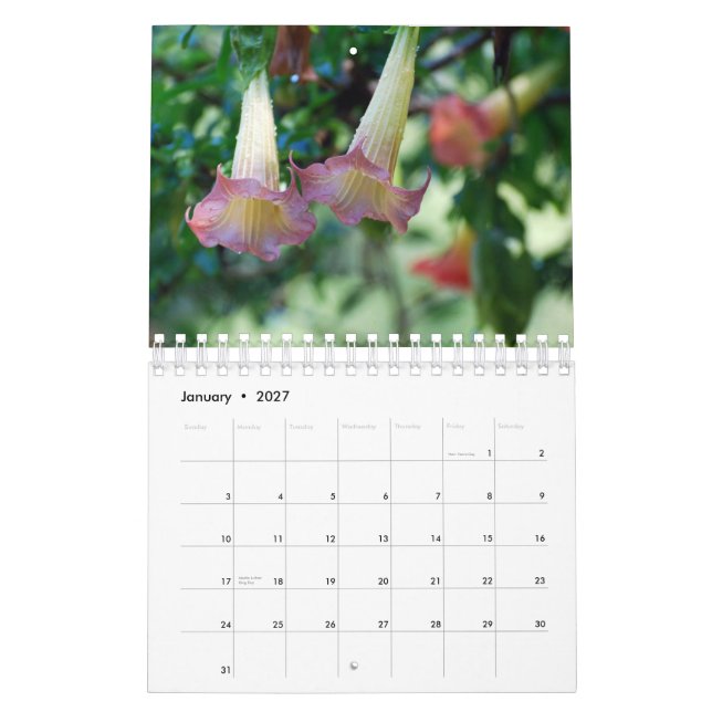 Calendário da fotografia da natureza (Jan 2027)