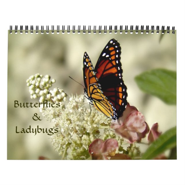 Calendário da fotografia das borboletas & dos (Capa)