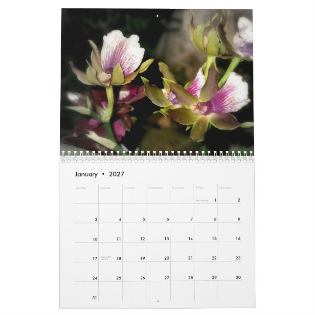 Calendário da fotografia de 2010 flores (Jan 2027)