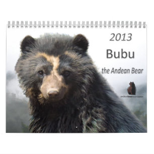 Calendário da Fundação Andean Bear 2013