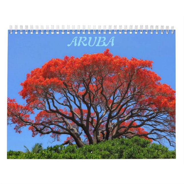 Calendário da ilha feliz de Aruba (Capa)
