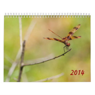Calendário da libélula 2014 e do Damselfly