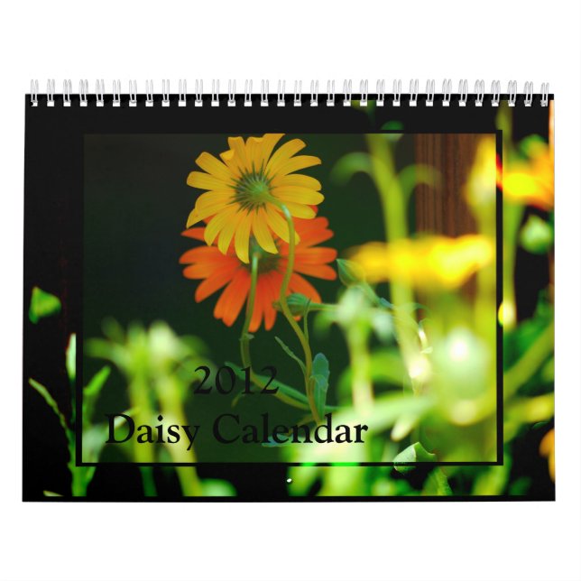 Calendário da margarida 2016 (Capa)