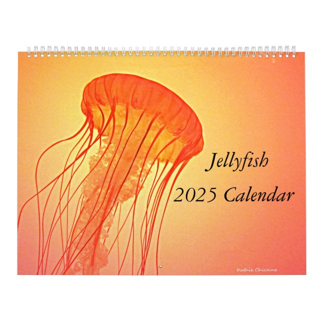 Calendário da medusa 2025 (Capa)