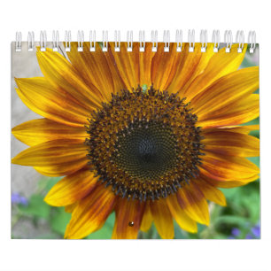 Calendário da Natureza