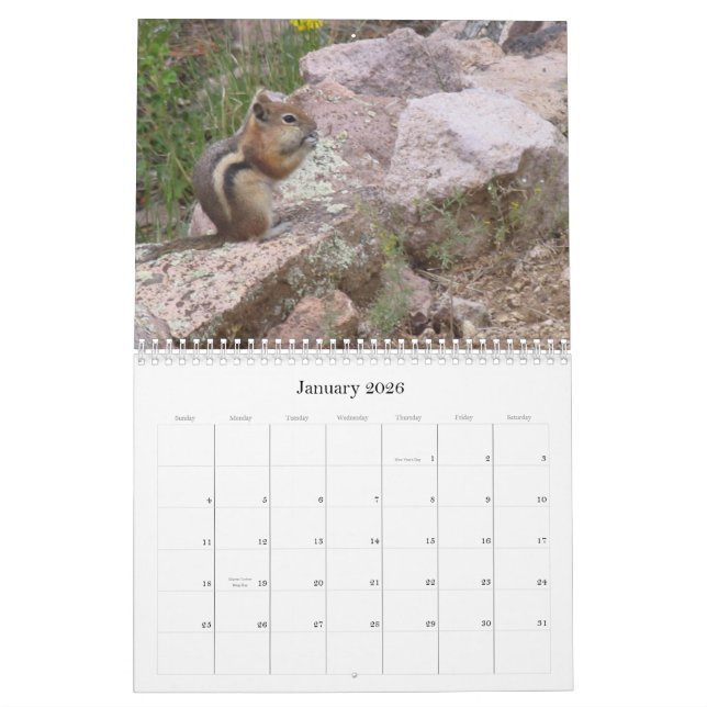 Calendário da natureza das propriedades do Avatar (Jan 2026)