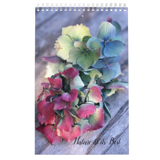 Calendário da Natureza Eclético (Capa)