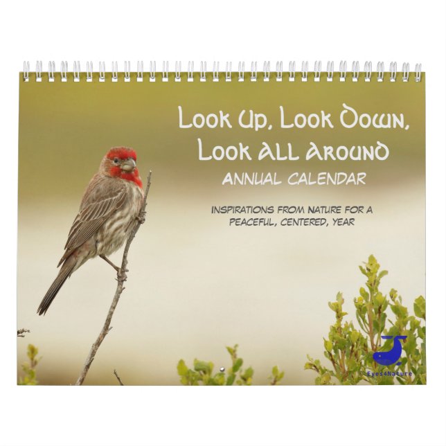 Calendário da Natureza: Olhem Para Cima, Olhem Par (Capa)
