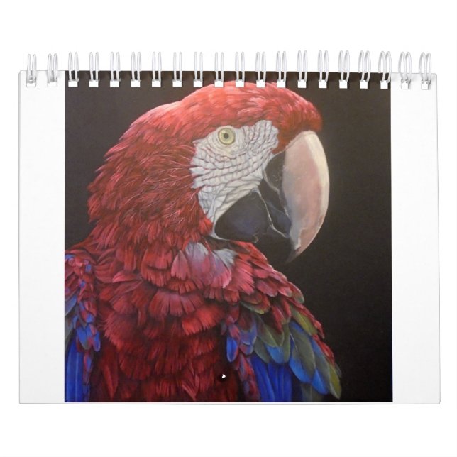 Calendário da paixão do papagaio para você (Capa)