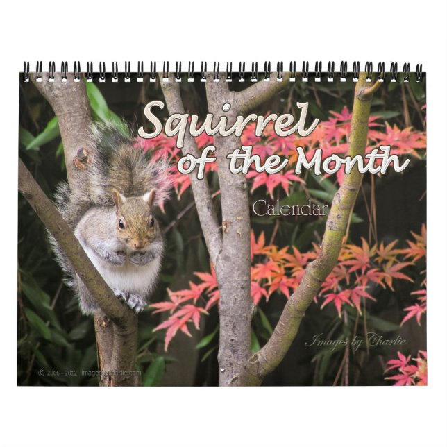 Calendário da Parede de Fotos 2026 Squirrel (Capa)