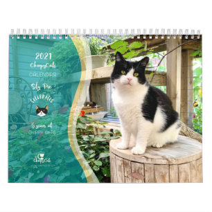 Calendário da Parede de Gato 2021, Vida da Pizza