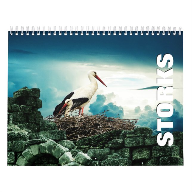 Calendário da Parede de Storks (Capa)