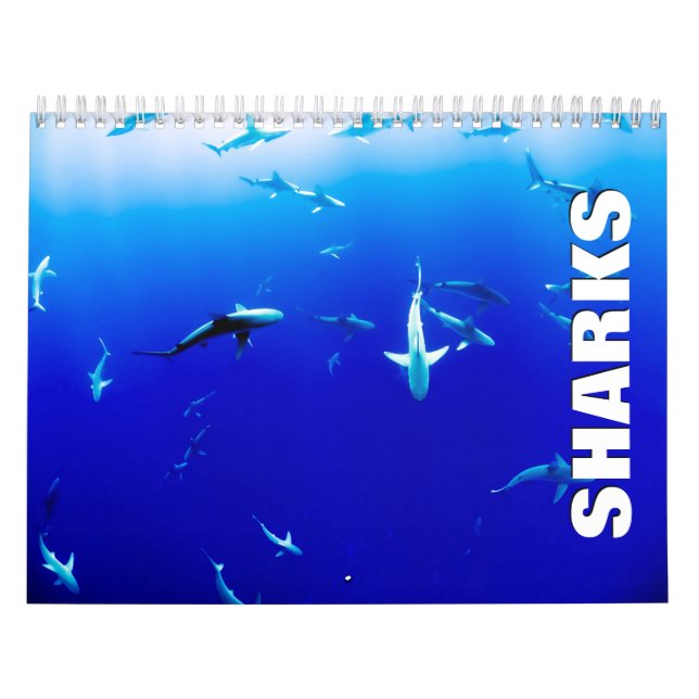 Calendário da Parede de Tubarões (Capa)