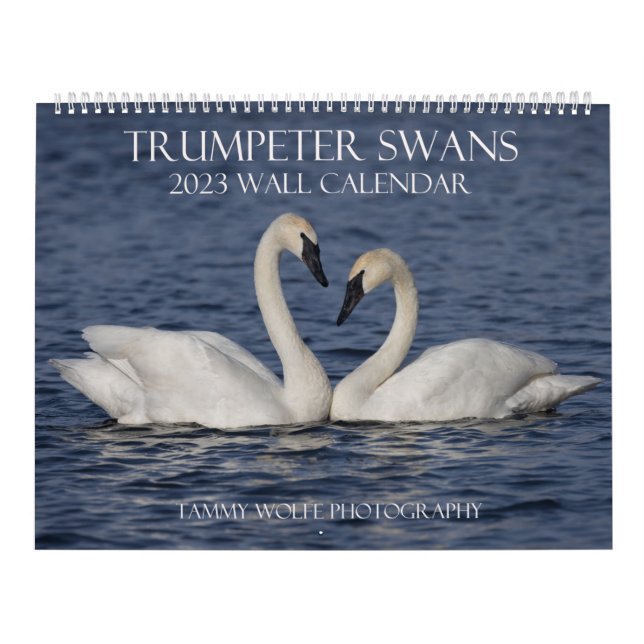 Calendário da Parede do Cisne de 2023 (Capa)