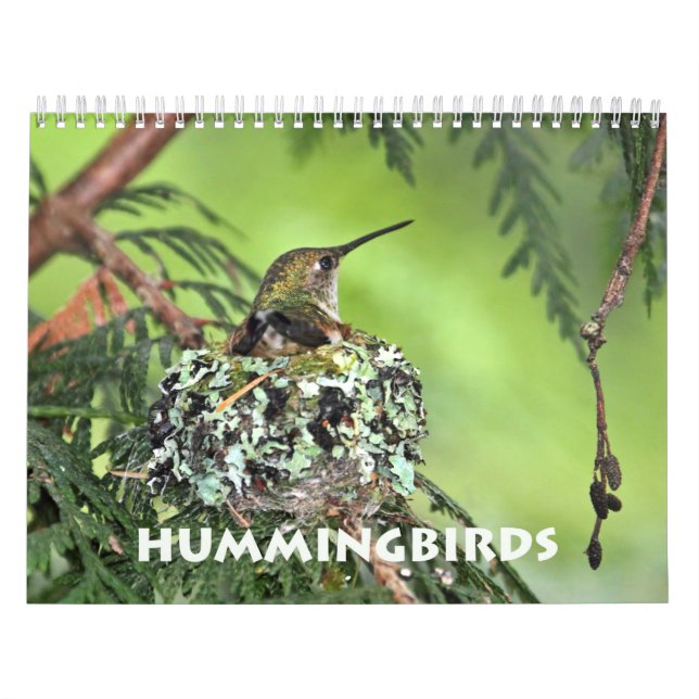 Calendário da Parede do Hummingbird (Capa)