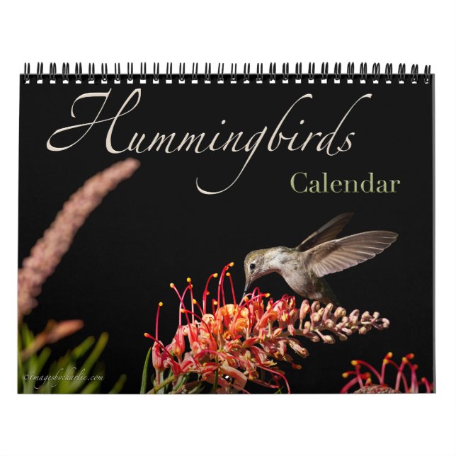Calendário da Parede do Hummingbird 2026 (Capa)