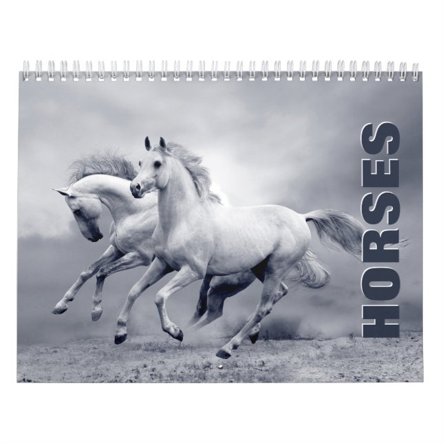 Calendário da Parede dos Cavalos (Capa)