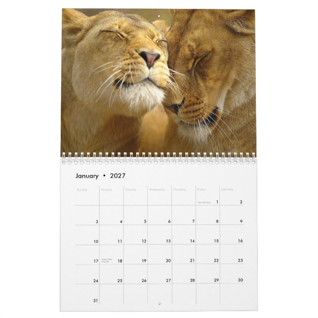 Calendário da Parede dos Leões (Jan 2027)