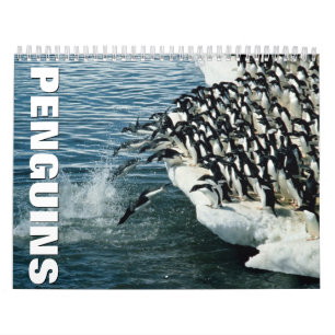 Calendário da Parede dos Pinguins