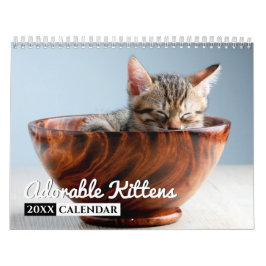 Calendário da Parede Fotográfica de Kittens Adoráv