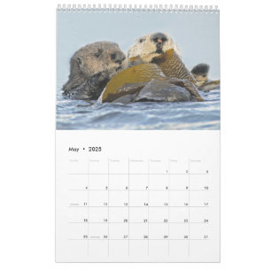 Calendário da Parede Selvagem de 2018 - Na Naturez