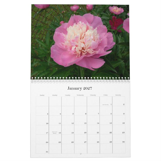 Calendário da peônia agosto de 2007-julho de 2008 (Jan 2027)