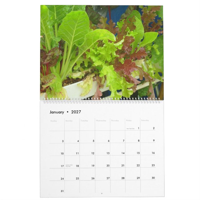 Calendário da piscina de 2013 jardins - grande (Jan 2027)