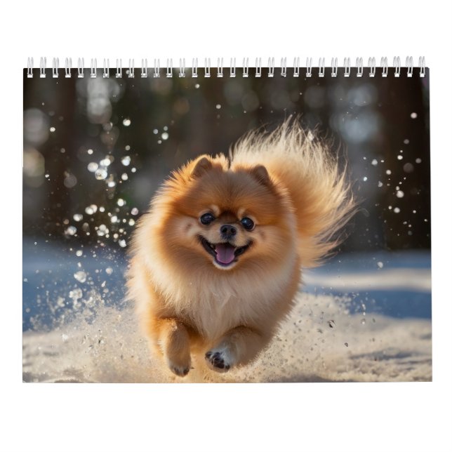 Calendário da Pomerânia 2025 (Verso)