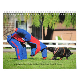 Calendário da proteção de Dobes da família