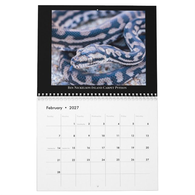 Calendário da Rádio Morelia Python 2025 (Fev 2027)