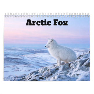 Calendário da Raposa Ártica 2027