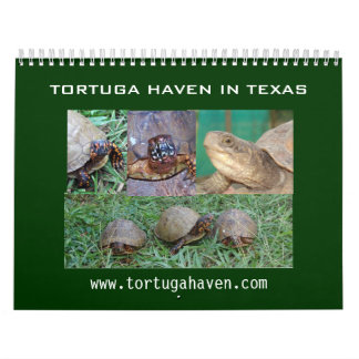 Calendário da tartaruga de caixa de Texas