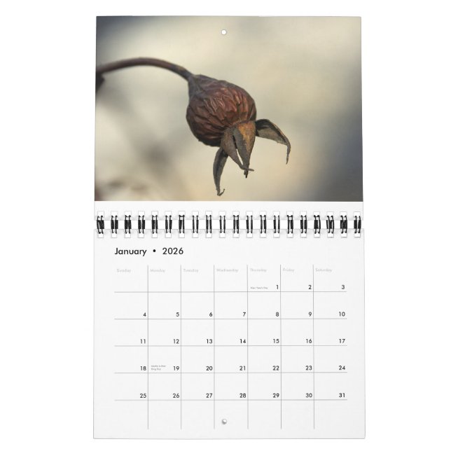 Calendário Da terra abundante (Jan 2026)