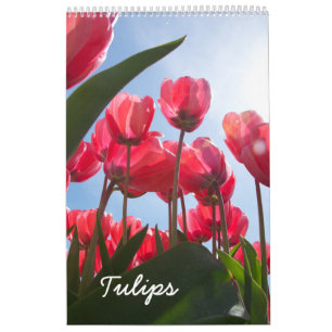 Calendário da tulipa