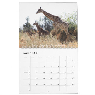 Calendário da Vida Selvagem