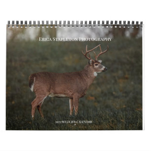 Calendário da Vida Selvagem
