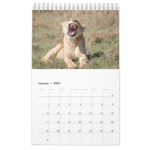 Calendário da Vida Selvagem 2021