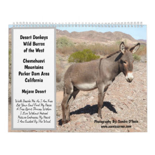Calendário da Vida Selvagem, burros selvagens, des