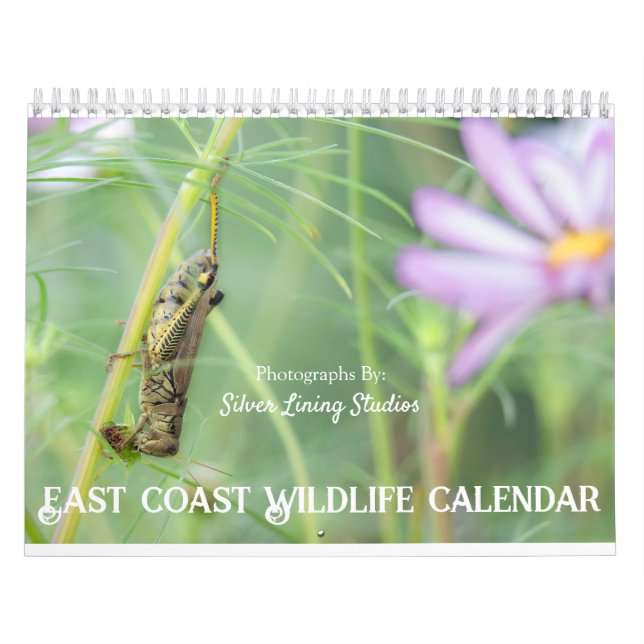 Calendário da Vida Selvagem da Costa Leste (Capa)